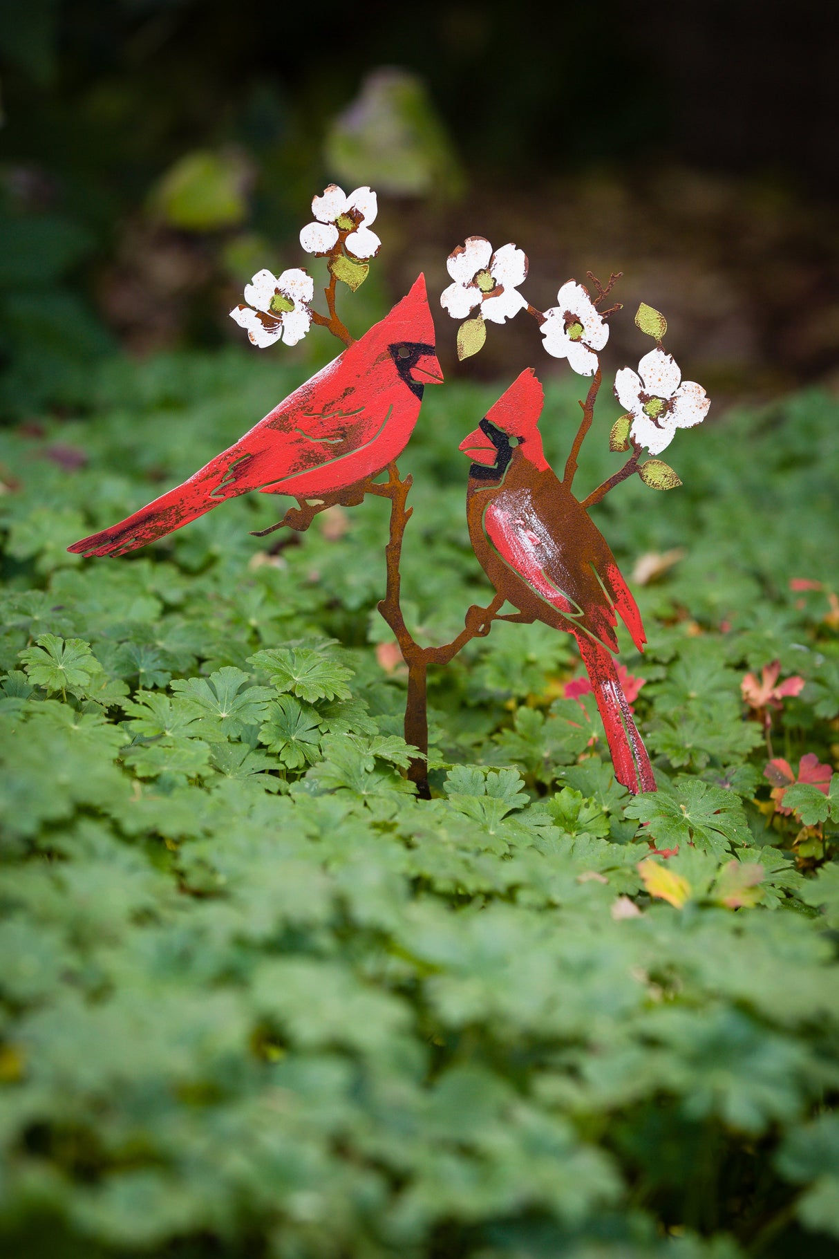 Cardinals On Dogwood Stake