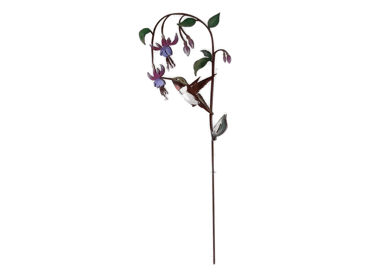 Hummingbird on Fuchsia Pick