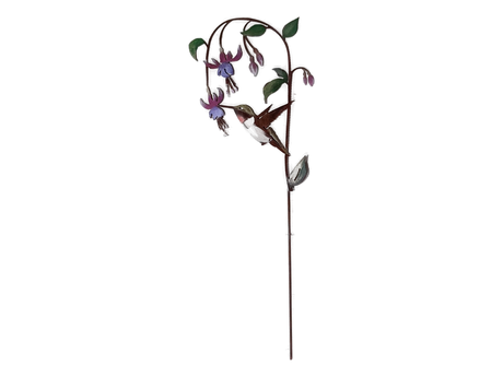 Hummingbird on Fuchsia Pick