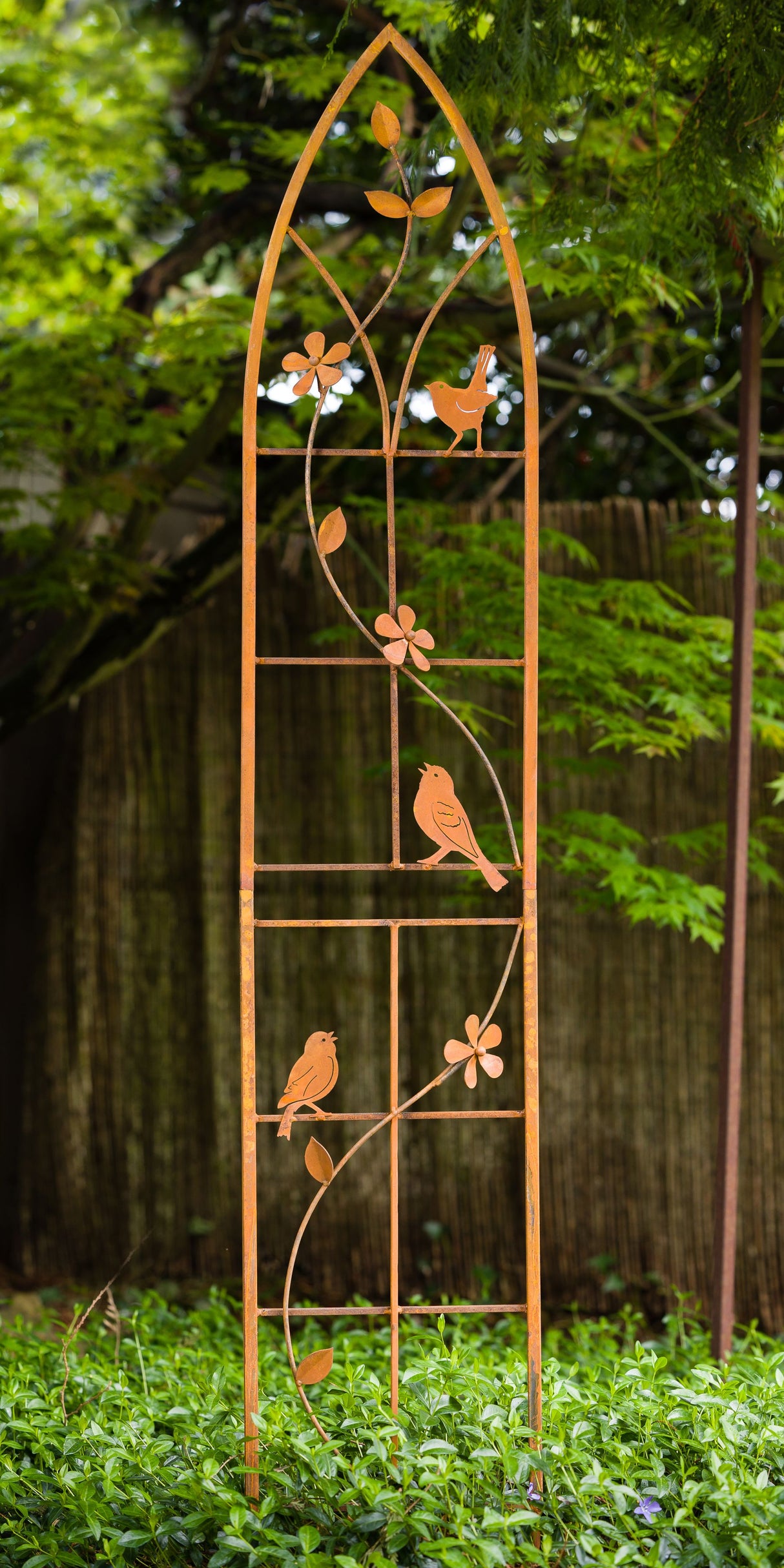 Gothic Window Bird Trellis