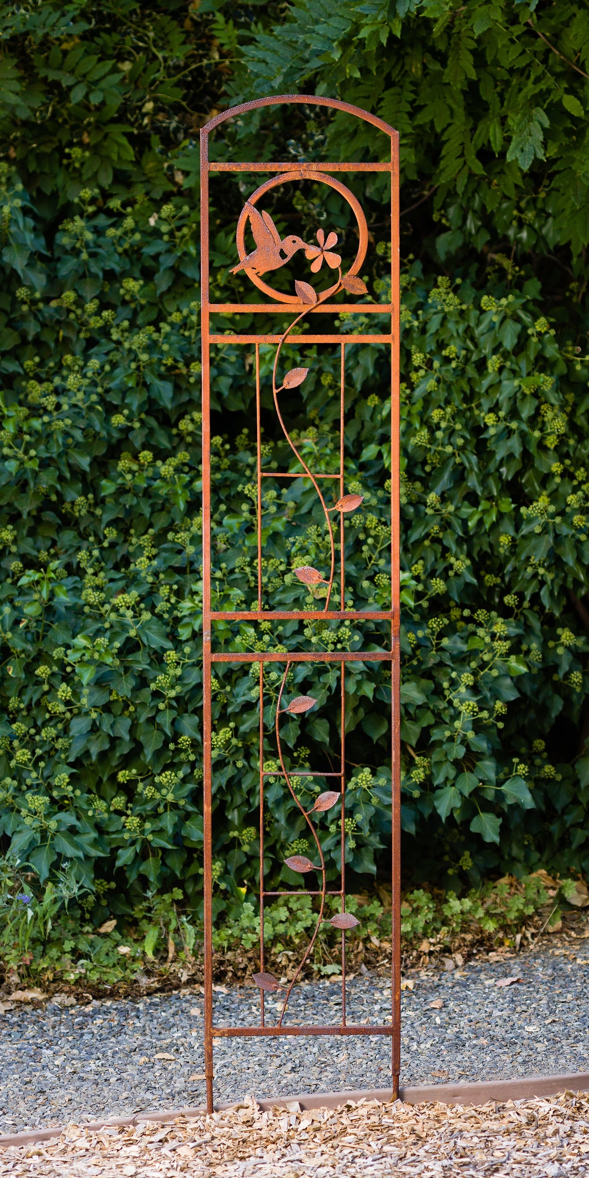 Hummingbird Trellis