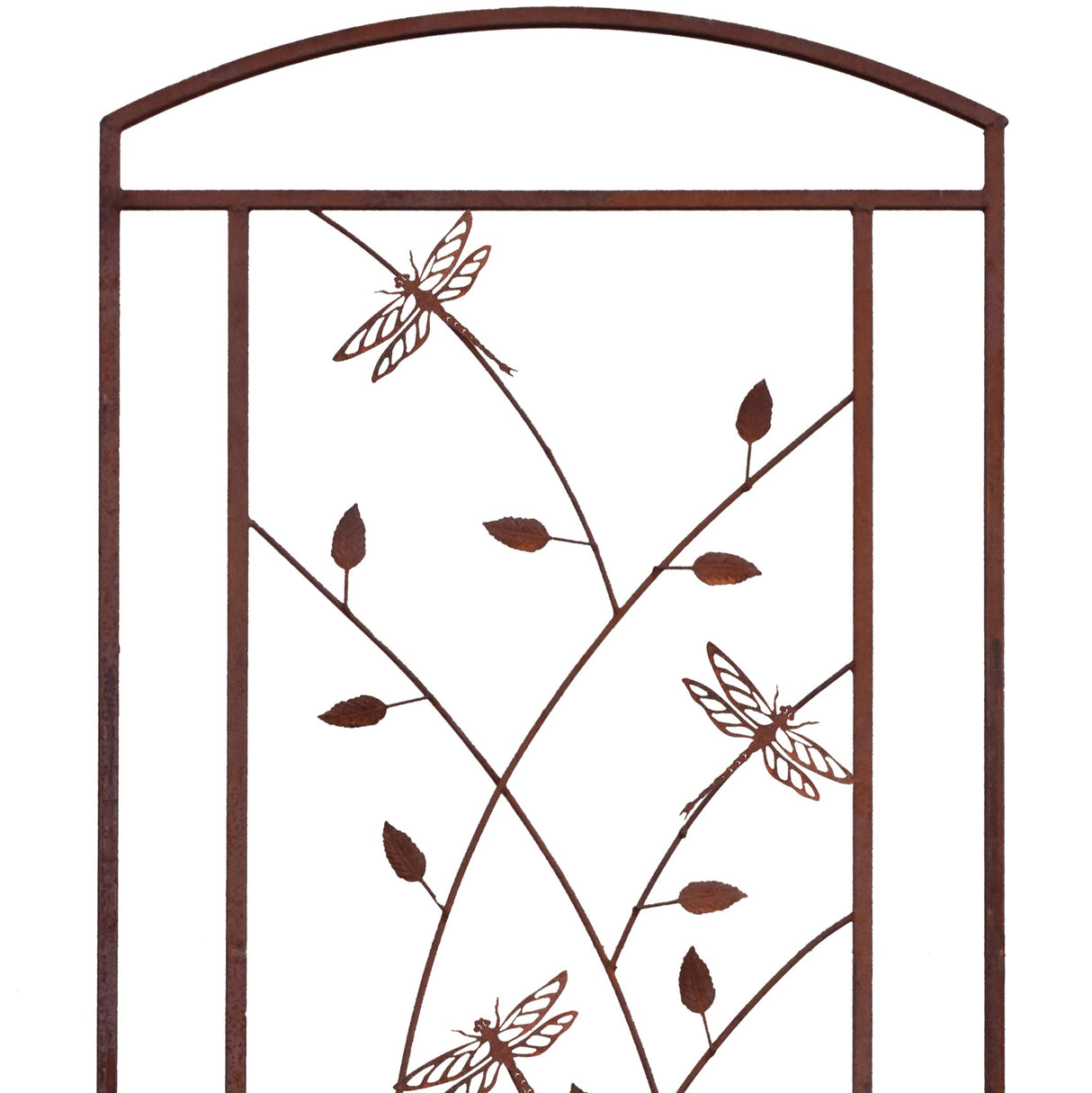Dragonfly Trellis