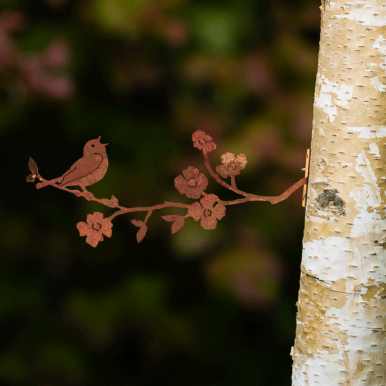 Singing Warbler on Dogwood Branch