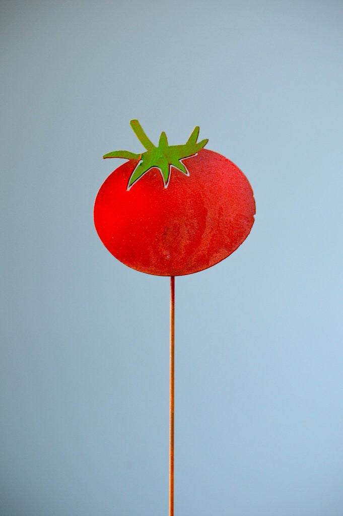 Vegetable Garden Marker - Tomato