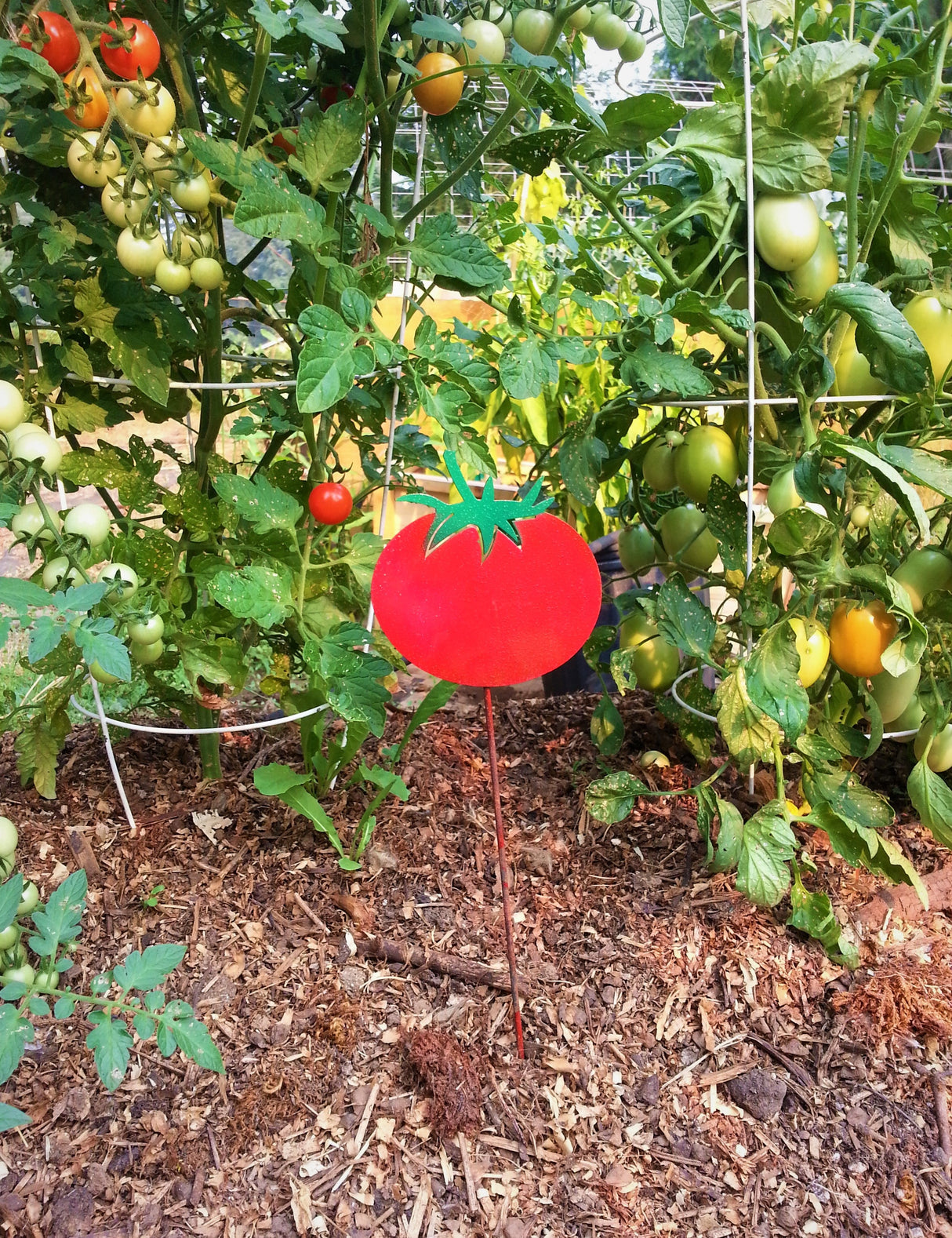 Vegetable Garden Marker - Tomato