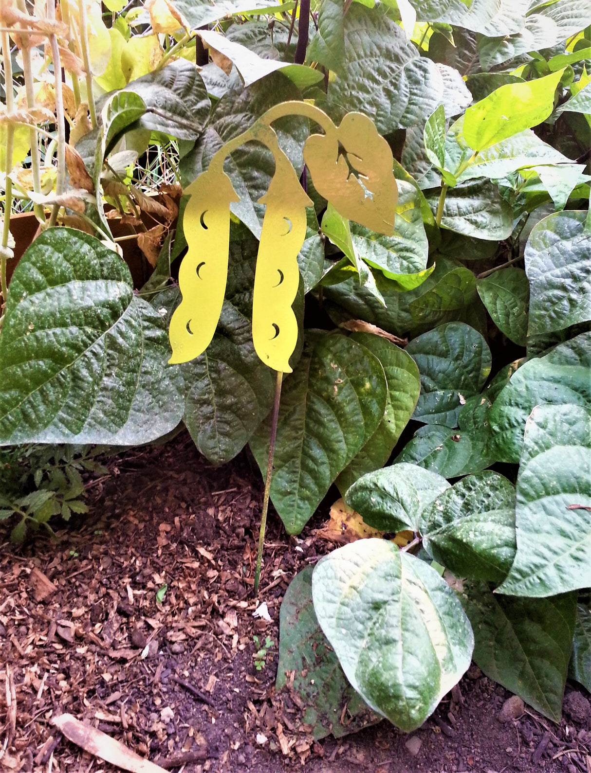 Vegetable Garden Marker - Snap Peas / Green Beans