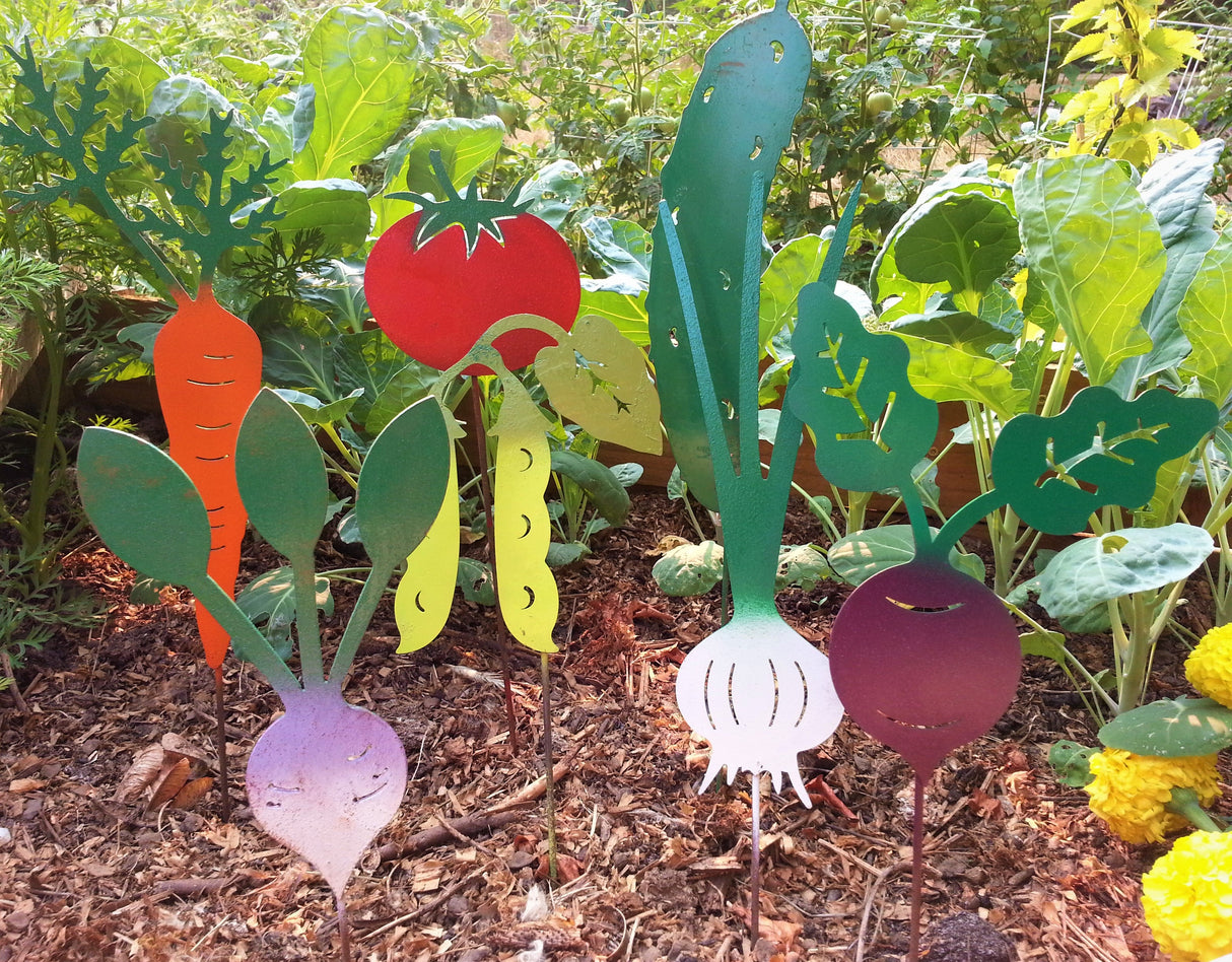 Vegetable Garden Marker - Carrot