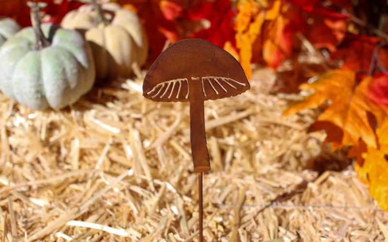 Fall Textures: How to Style Your Garden for Autumn