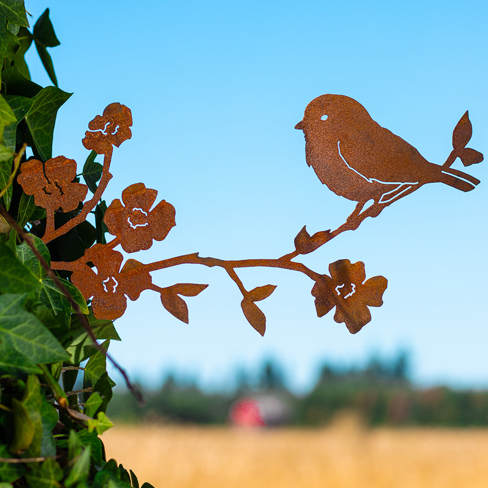 Collections – Rusty Birds