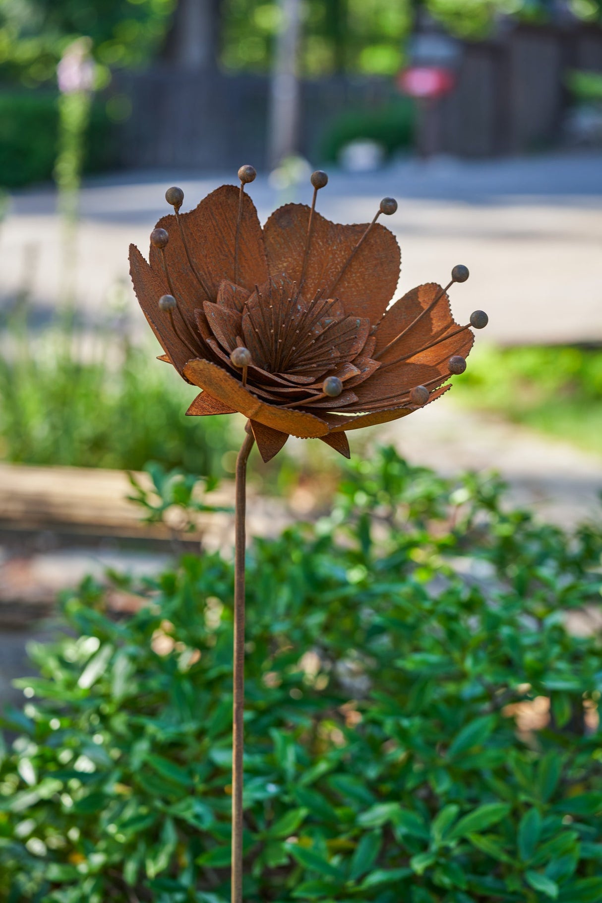 Bella Flower