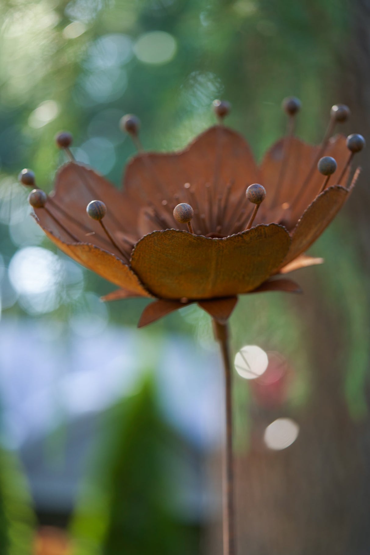 Bella Flower
