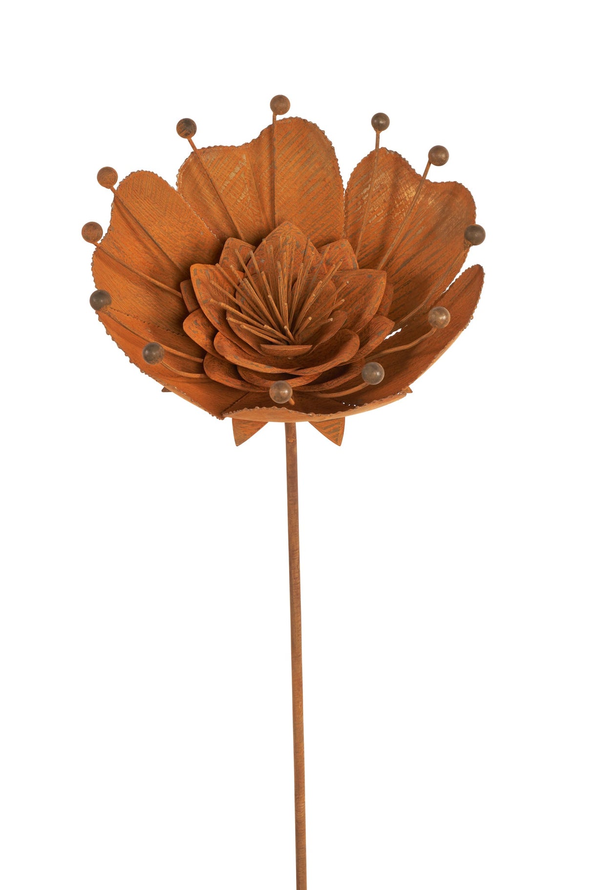 Bella Flower