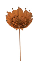 Bella Flower