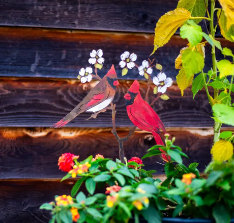 Cardinals On Dogwood Stake