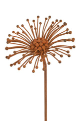 Cosmos Flower