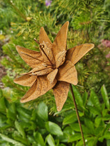 Cressia Flower Stake