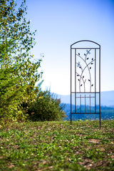 Dragonfly Trellis