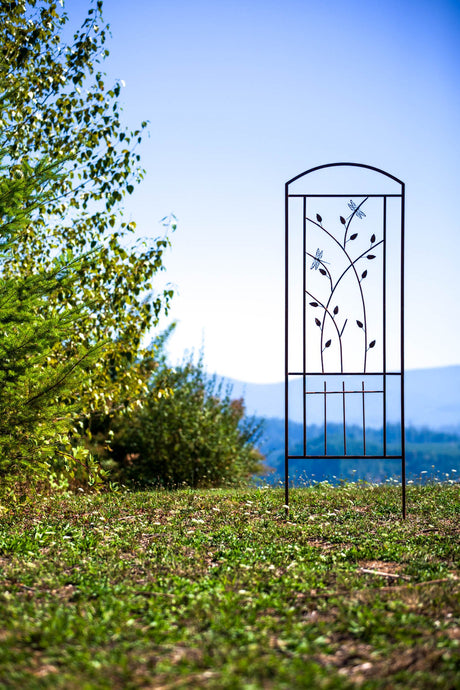 Dragonfly Trellis