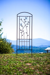 Dragonfly Trellis