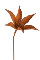 Mira Flower