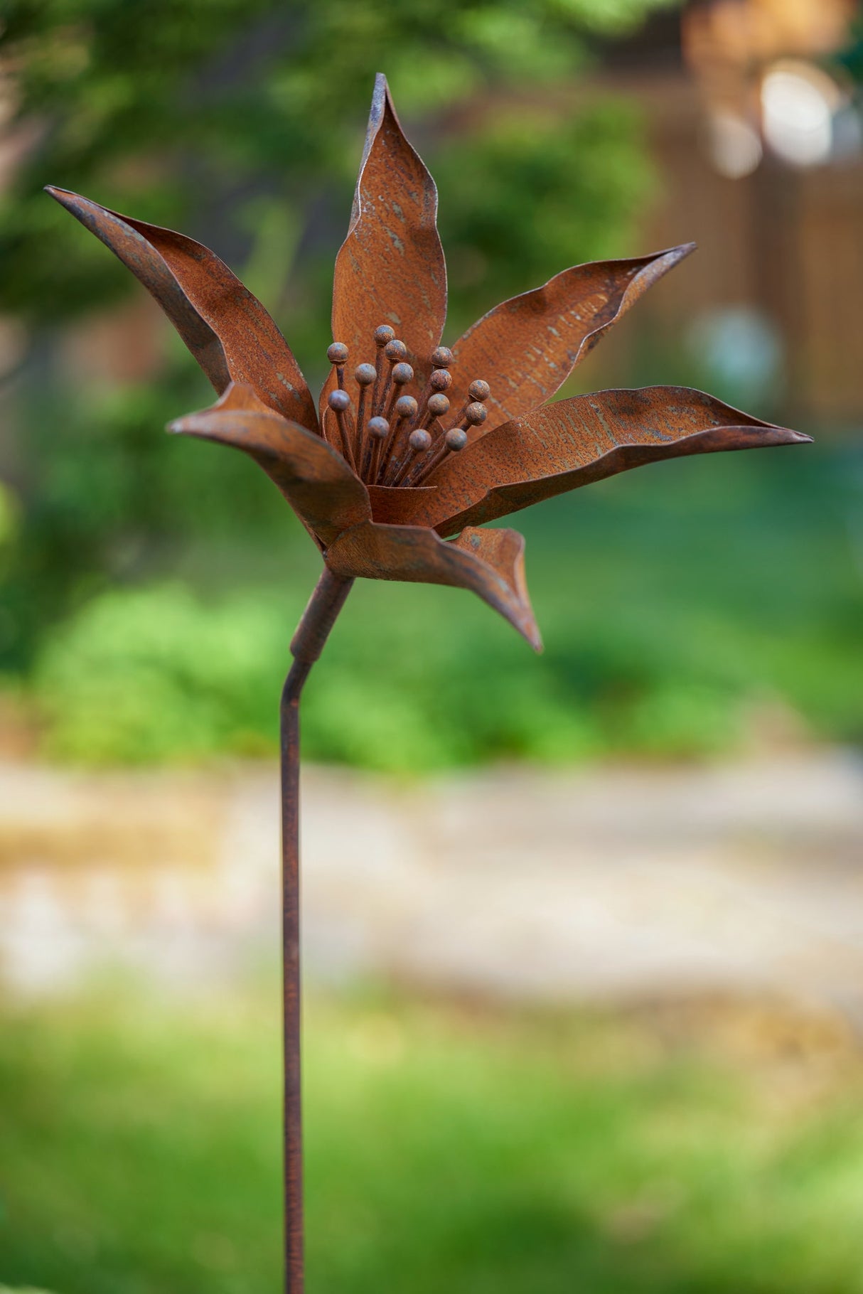Mira Flower