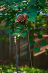 Elouise Flower