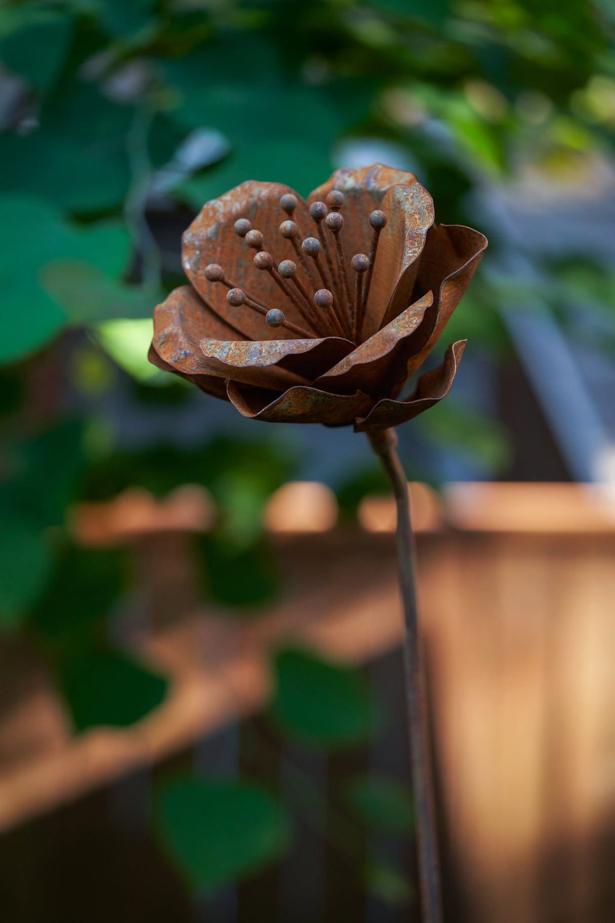 Elouise Flower