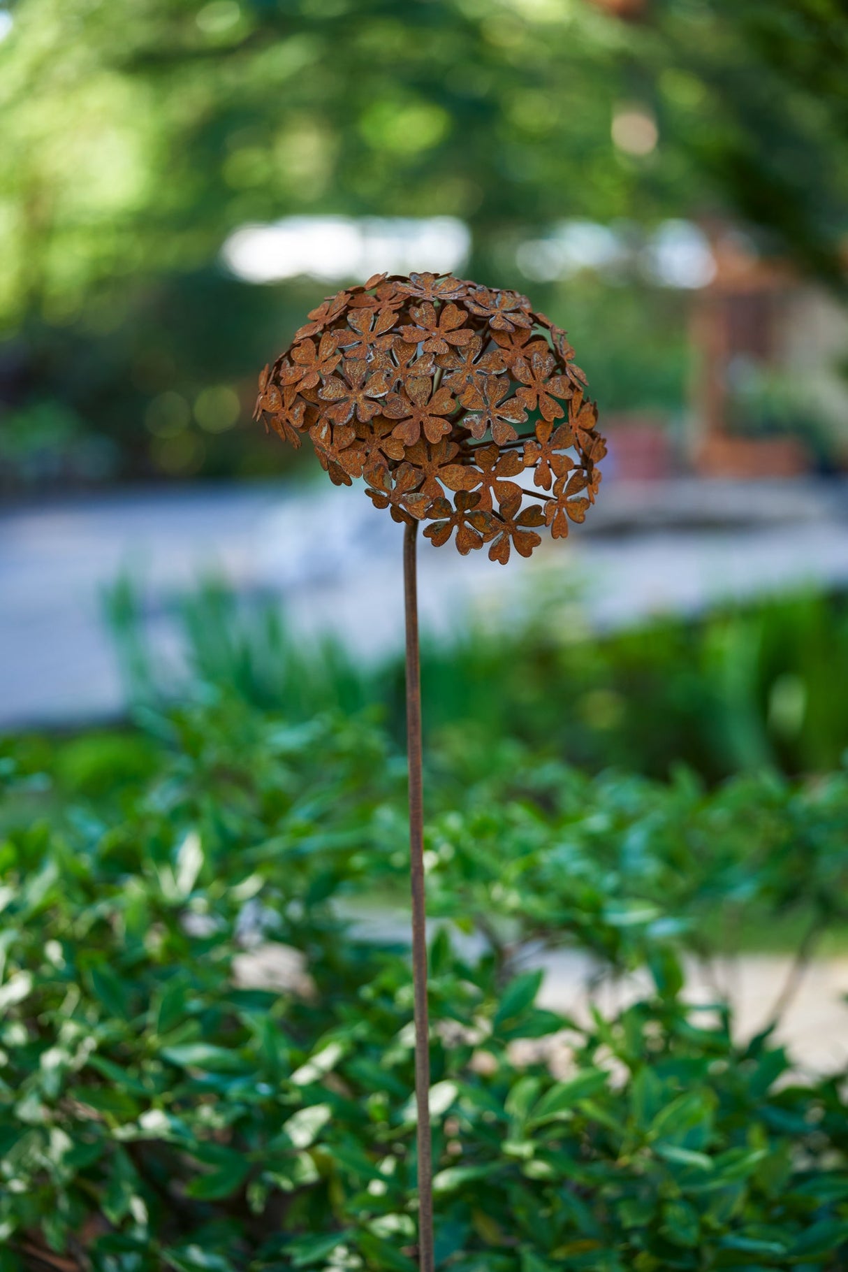 Petite Fortunia Flower