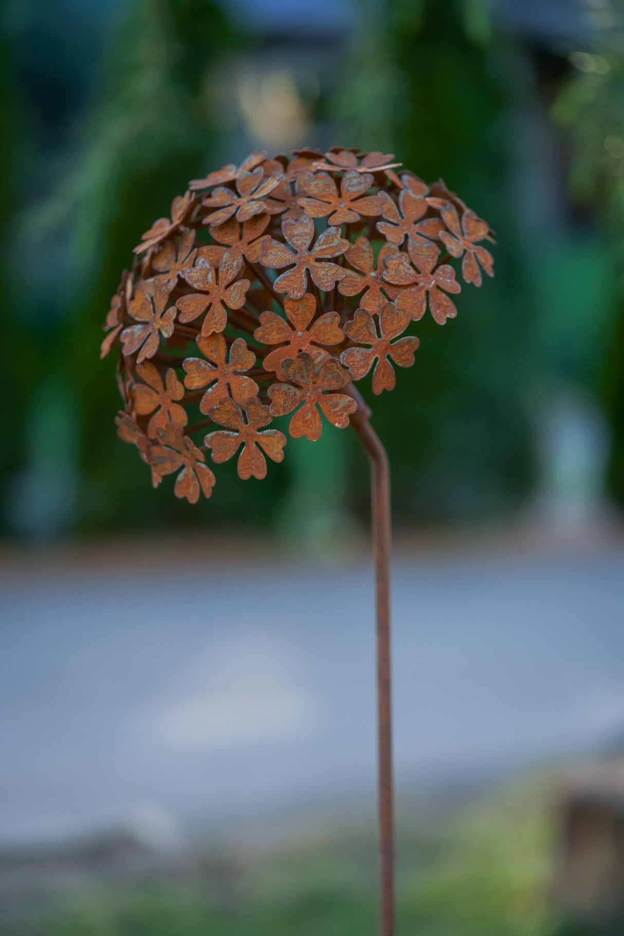 Petite Fortunia Flower