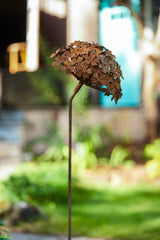 Petite Fortunia Flower