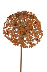 Petite Fortunia Flower