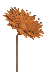 Zora Flower
