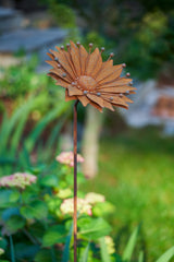 Zora Flower