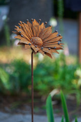 Zora Flower