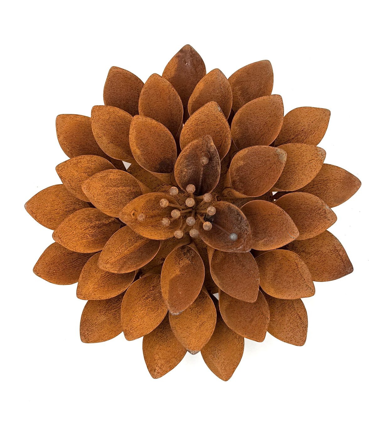 Lizabeth Flower (NEW)