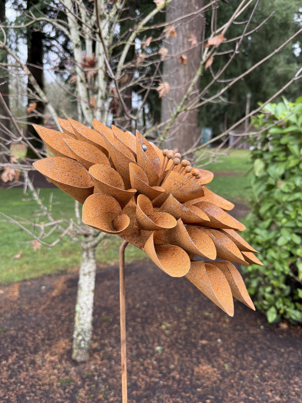 Lizabeth Flower (NEW)