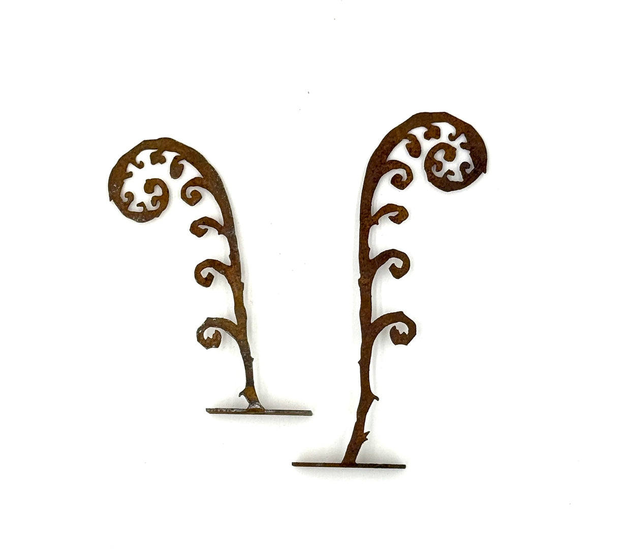 Fern Fronds - Tab Mount