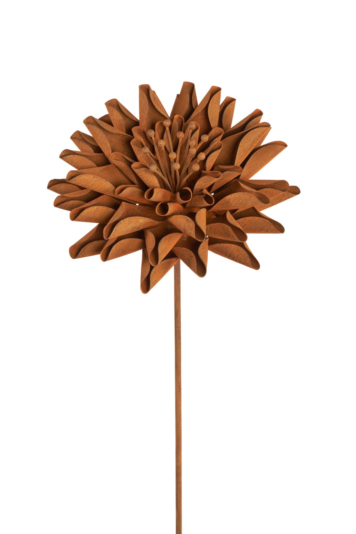 Freya Flower