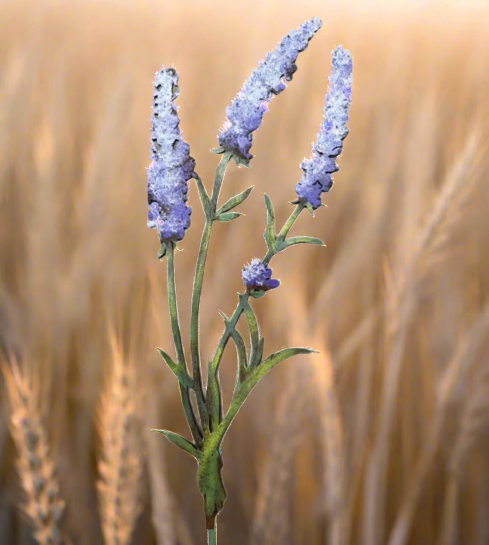 Hand-Painted Lavender Stake | Sturdy &amp; Lifelike Metal Wildflower Sculpture