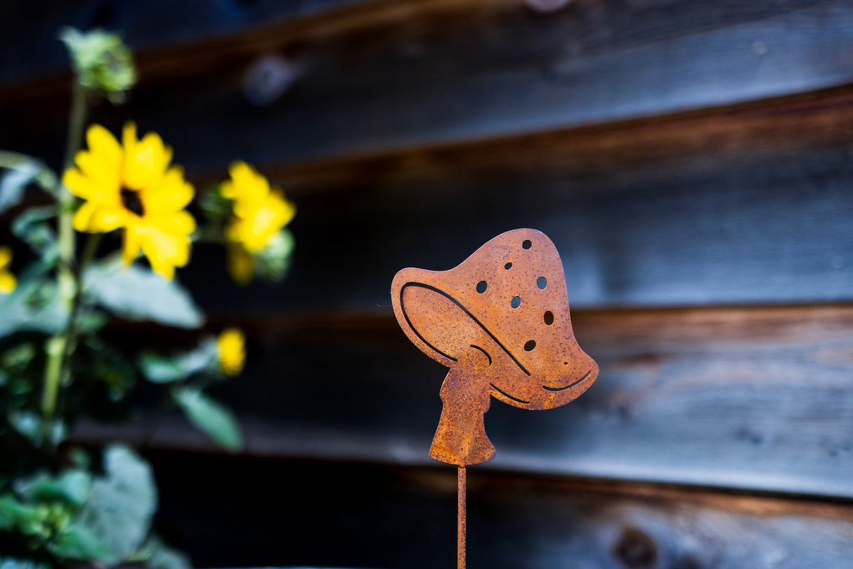 Fly Agaric Mushroom Pick