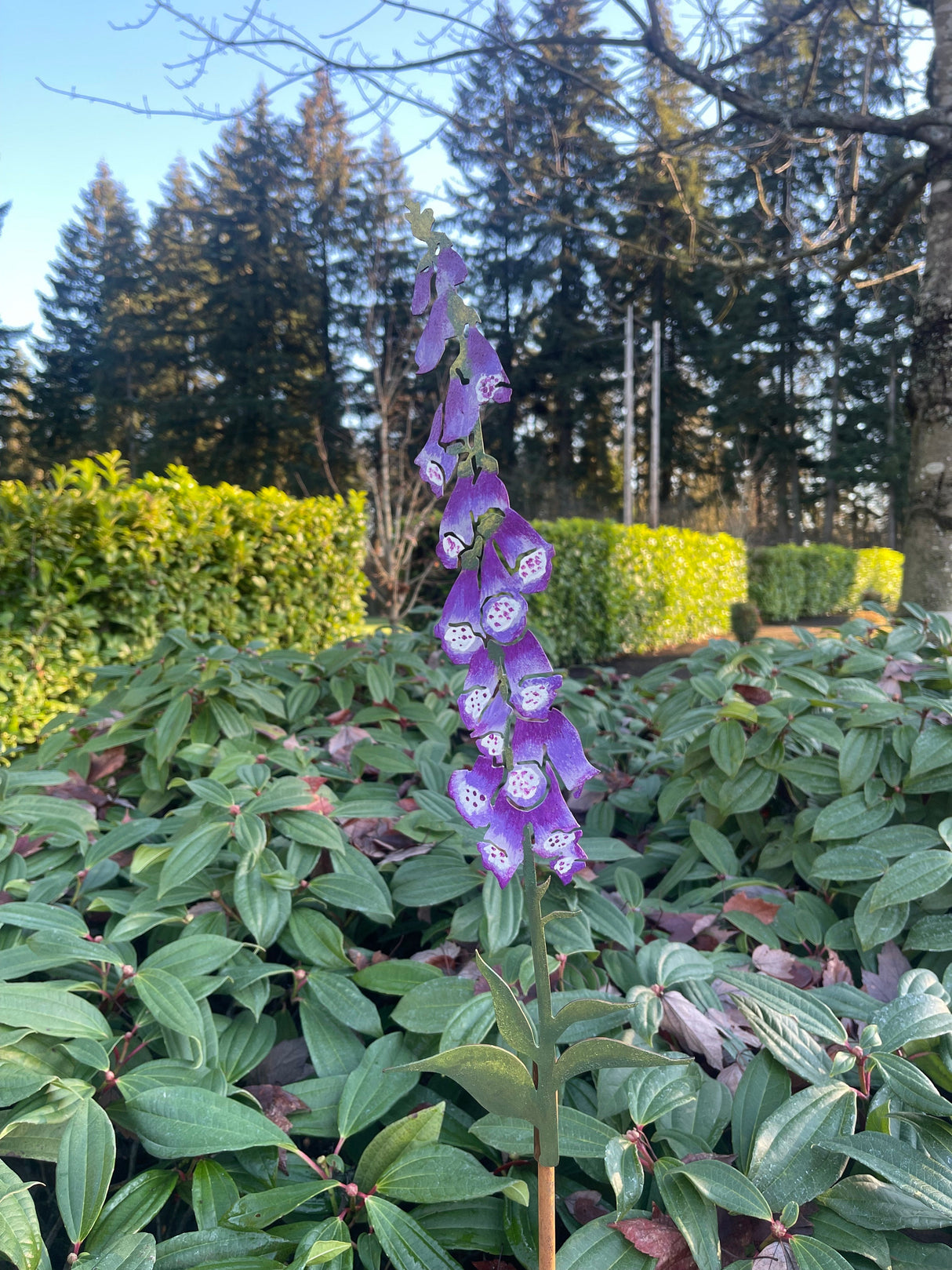 Hand-Painted Foxglove Stake Large