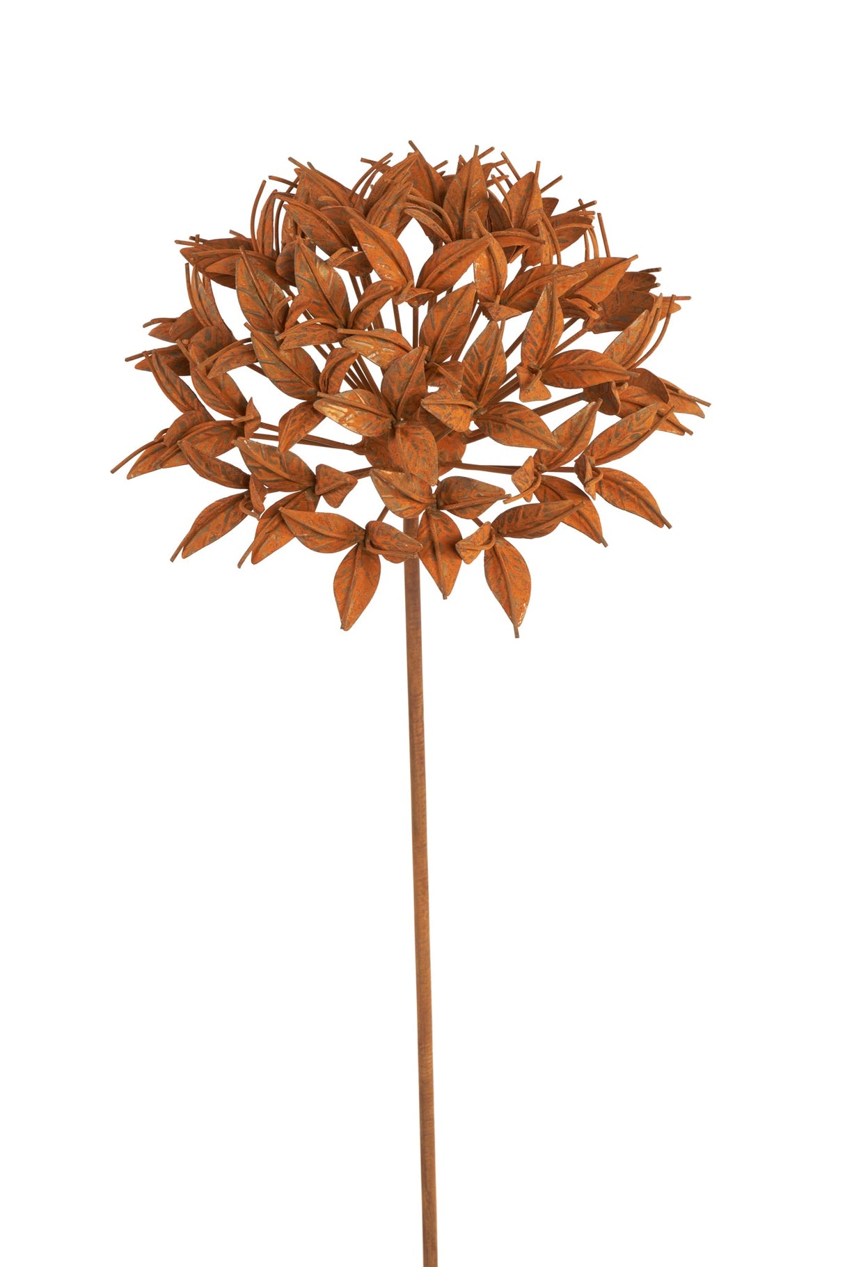 Ixora Flower
