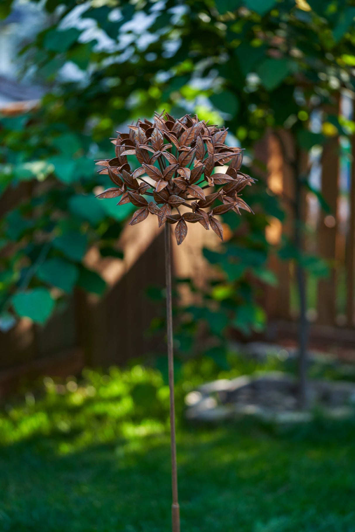 Ixora Flower