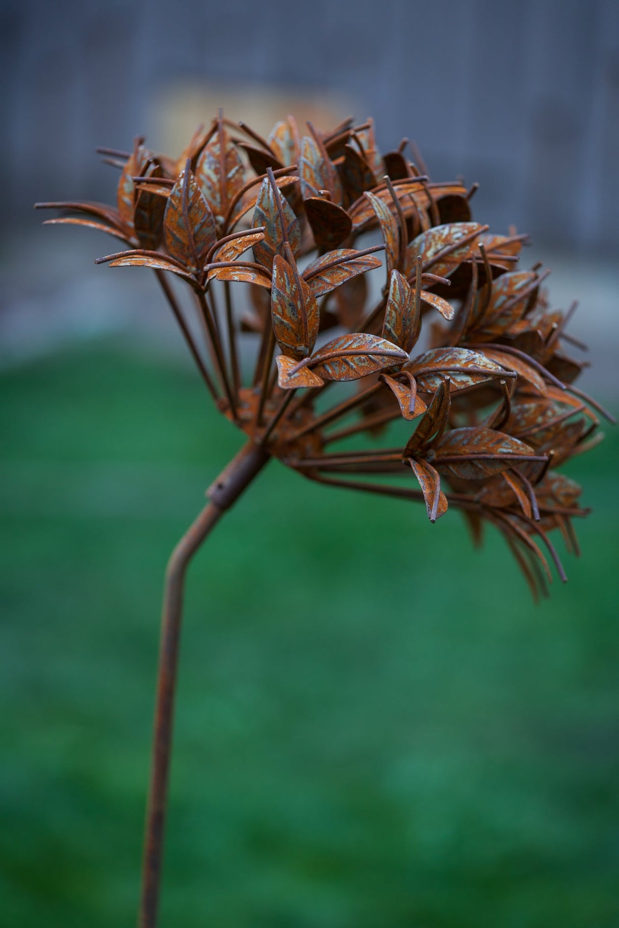 Ixora Flower