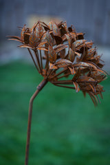 Ixora Flower