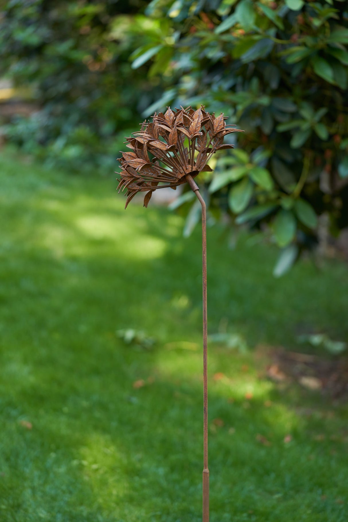 Ixora Flower