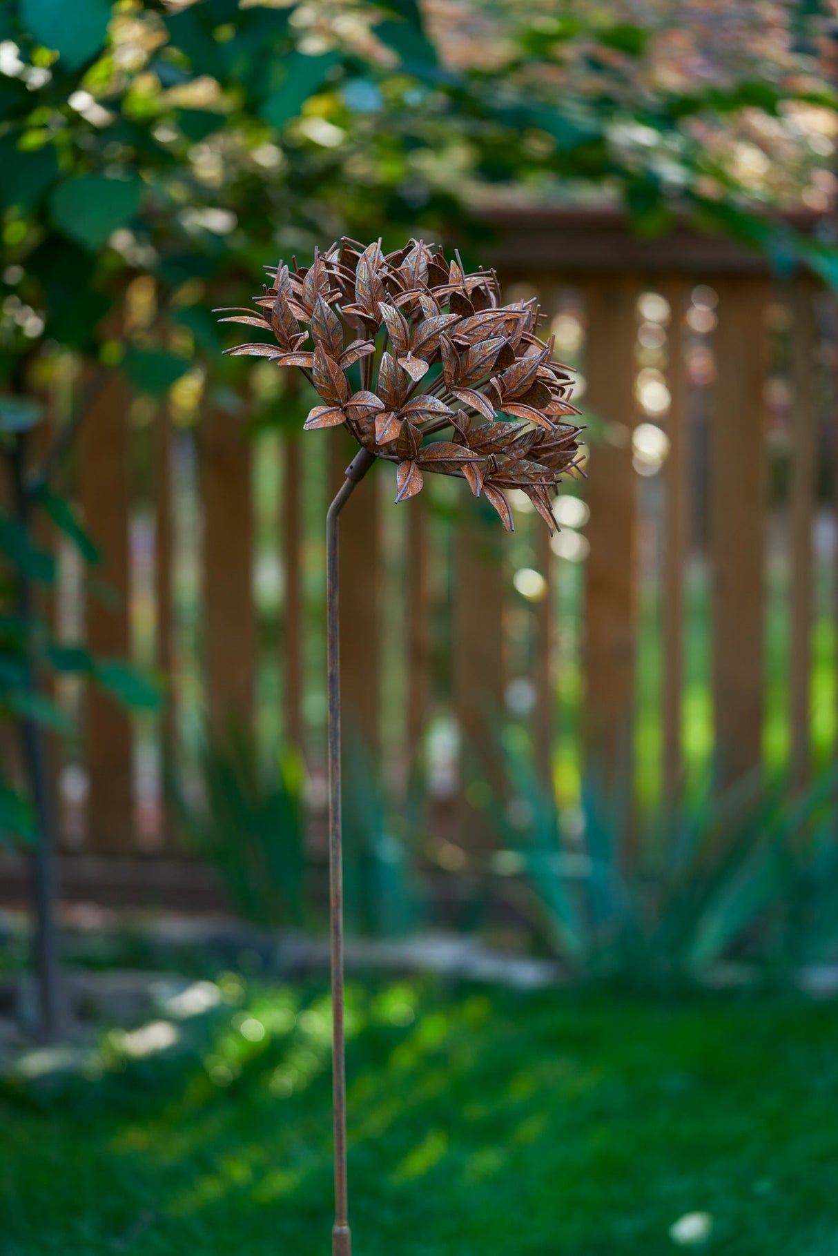 Ixora Flower