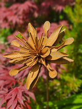 Liora Flower Stake