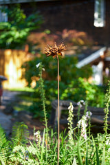 Luna Flower