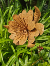 Lyra Flower Stake